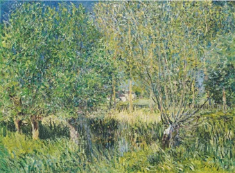 Willows on the Banks of the Orvanne
